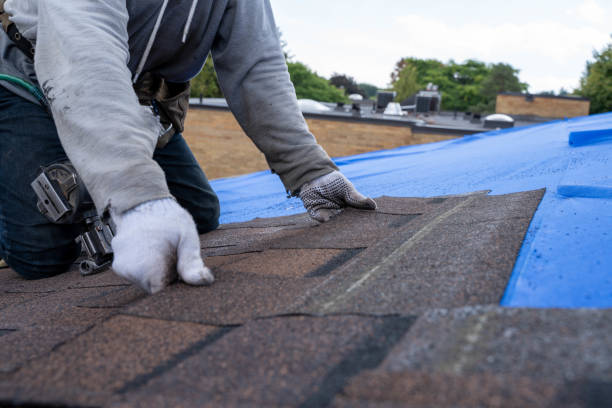 Best Roof Gutter Cleaning  in Eagar, AZ