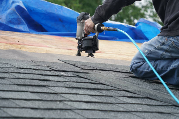 Roof Gutter Cleaning in Eagar, AZ