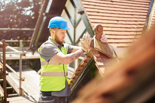 Best Storm Damage Roof Repair  in Eagar, AZ