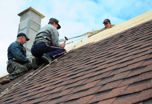 Quick and Trustworthy Emergency Roof Repair Services in Eagar, AZ
